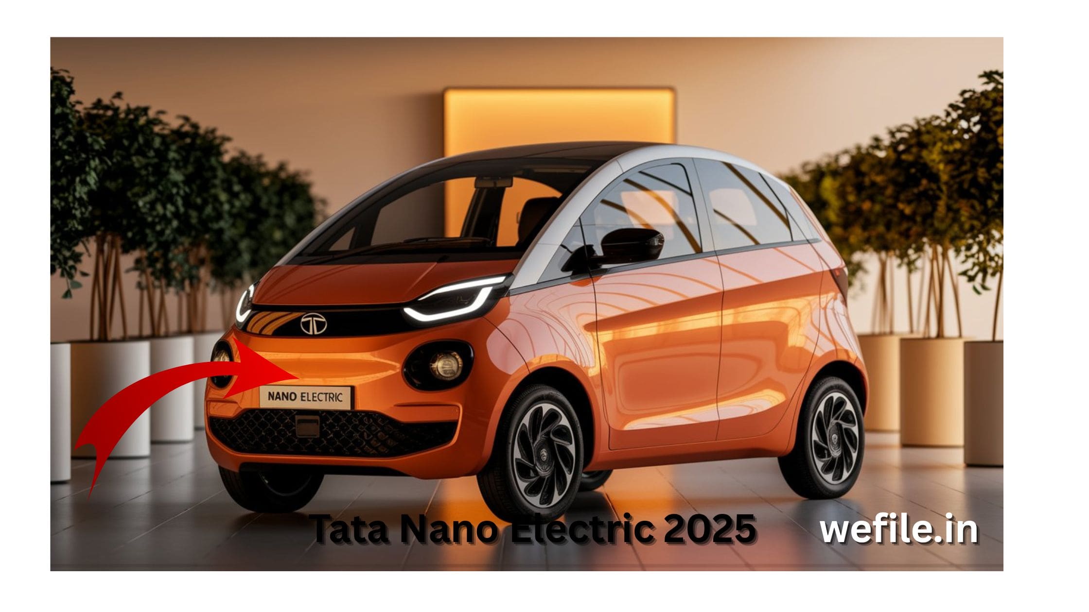 tata nano electric launch